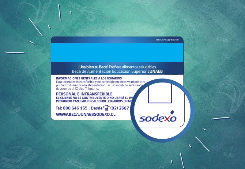 Experta sostiene que la beca Junaeb debe restringir la opción de